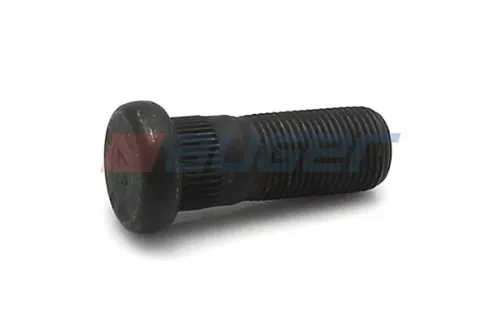 Wielbout AUGER 83777)