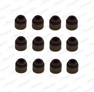 Seal Set, valve stem PAYEN HR5133)