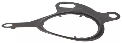 Gasket, vacuum pump ELRING 767.120)