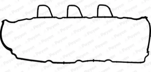 Pakking, cilinderkopdeksel PAYEN JM7165)