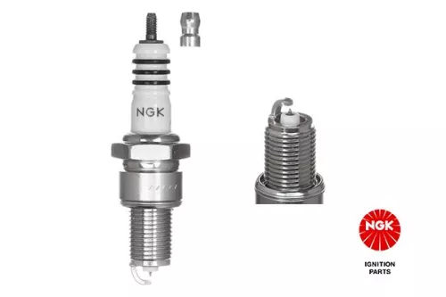 Spark Plug NGK 6597)