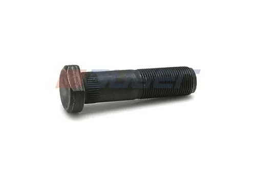 Wielbout AUGER 83845)