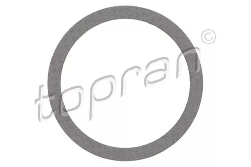 Pakking, uitlaatpijp TOPRAN 205 653)