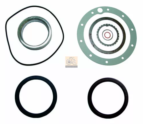 Pakkingset, wielnaaf DT Spare Parts 4.91022)