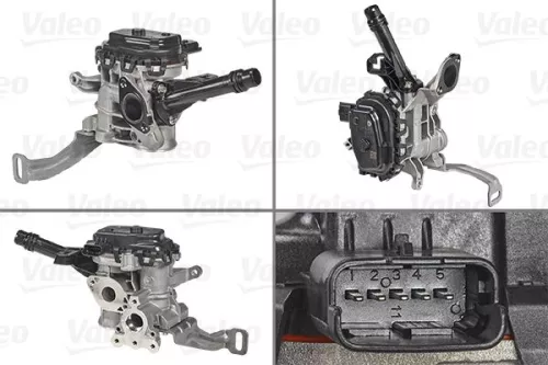 EGR-klep VALEO 700455)