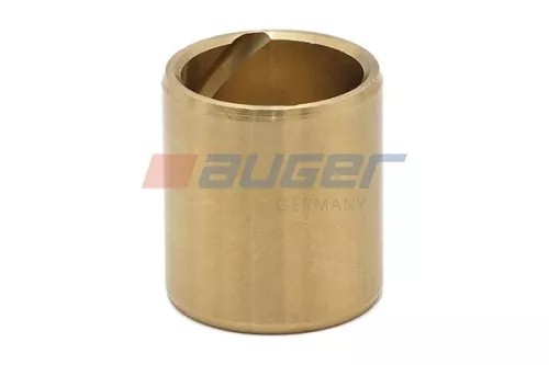 Bush, de kopman AUGER 54516)