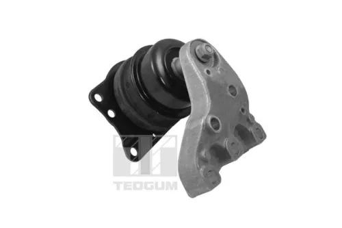 Montage, motor TEDGUM 00729417)