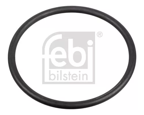 Pakking, brandstofpomp FEBI BILSTEIN 172666)