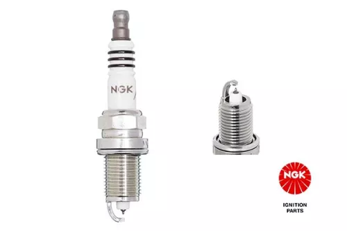 Spark Plug NGK 6441)