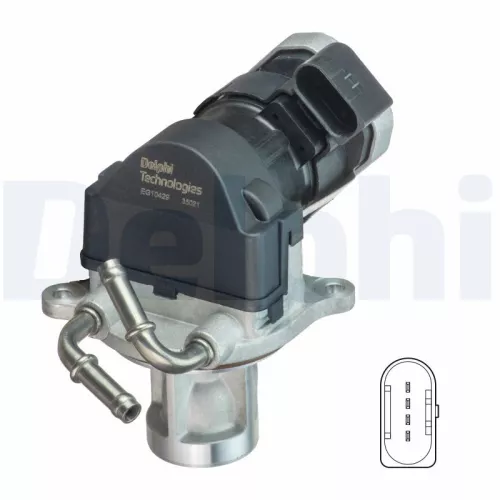 EGR-klep DELPHI EG10429-12B1)