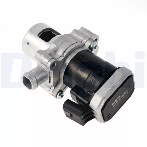 EGR-klep DELPHI EG10430-12B1)