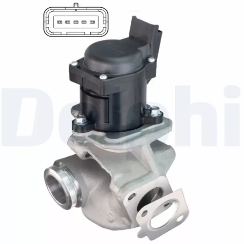 EGR Valve DELPHI EG10507-12B1)