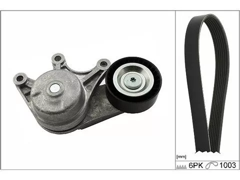 V-ribbed Belt Set Schaeffler INA 529 0483 10)