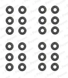 Seal Set, valve stem PAYEN HR5062)