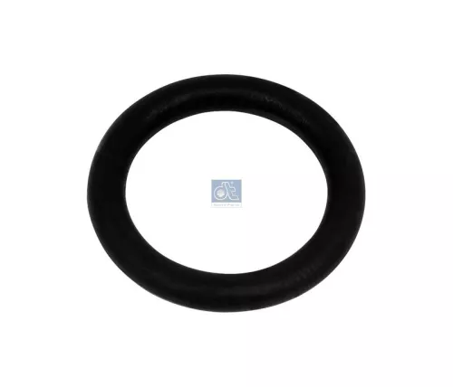 Pakking, oliepomp DT Spare Parts 1.18521)