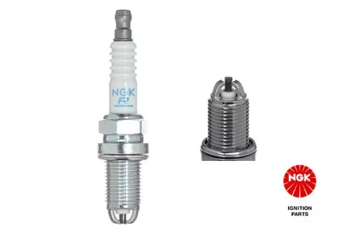 Spark Plug NGK 3045)