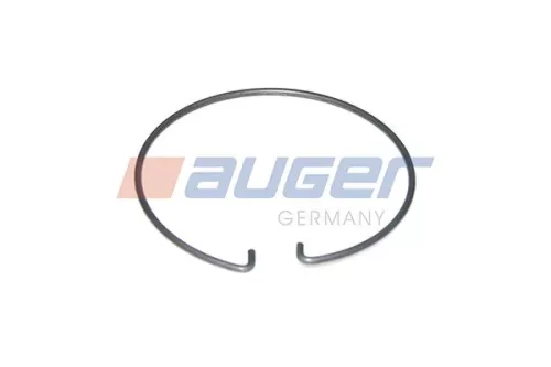 Borgring, kingpin AUGER 76883)