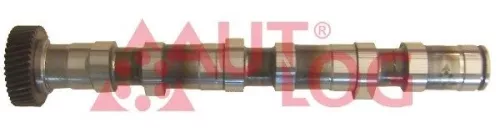 Camshaft AUTLOG NW5005)