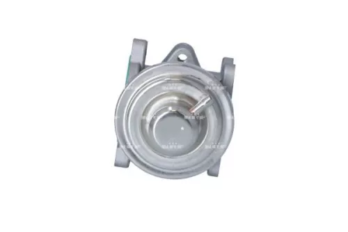 EGR-klep NRF 48611)