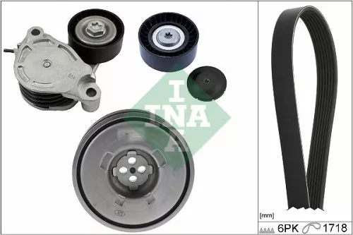 V-ribbed Belt Set Schaeffler INA 529 0516 20)