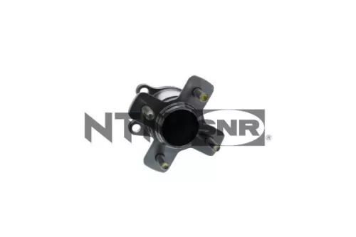 Wheel Bearing Kit SNR R174.104)