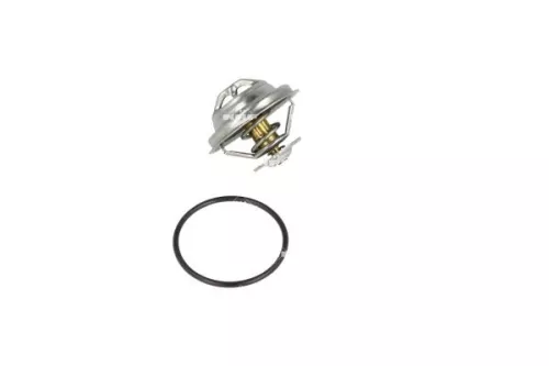 Thermostat, coolant NRF 725063)