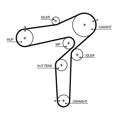 Timing Belt GATES 5706XS)