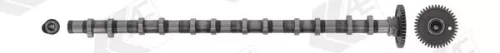 Nokkenas AE CAM1021)