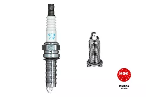Spark Plug NGK 7960)