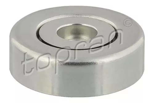 Ombuigings-/geleidingspoelie, V-geribbelde riem TOPRAN 500 262)