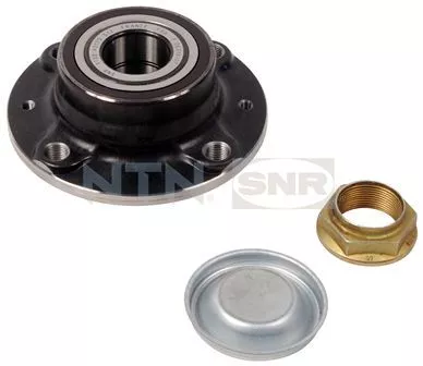 Wiellagerset SNR R166.31)