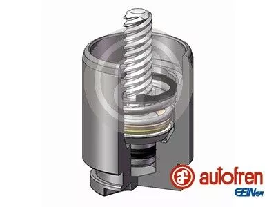 Zuiger, remklauw AUTOFREN SEINSA D025267K)