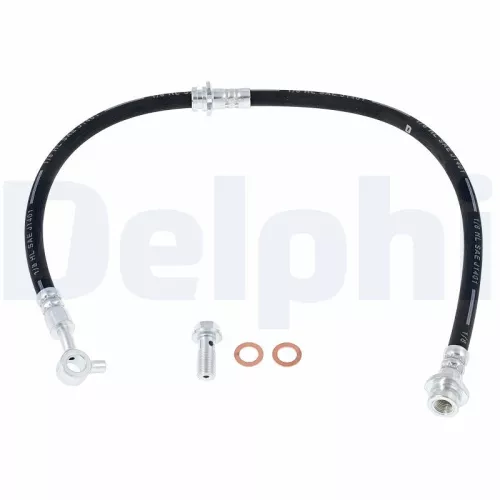 Remslang DELPHI LH7509)