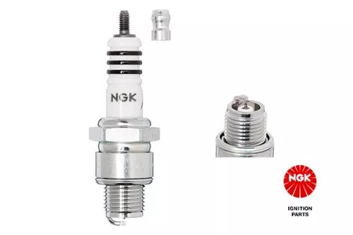 Spark Plug NGK 7067)