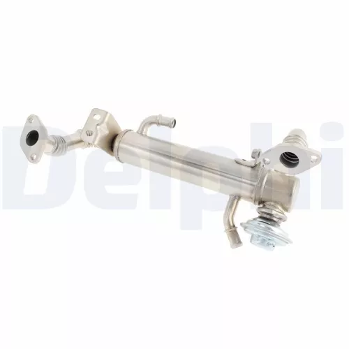 EGR-klep DELPHI EG10582-12B1)
