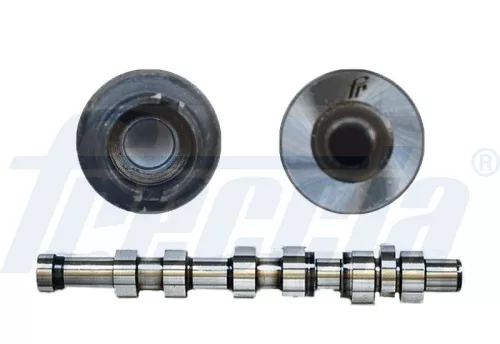 Nokkenas FRECCIA CM05-2261)