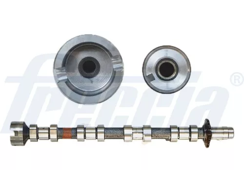 Nokkenas FRECCIA CM05-2271)