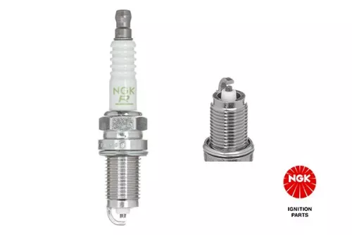 Spark Plug NGK 6711)