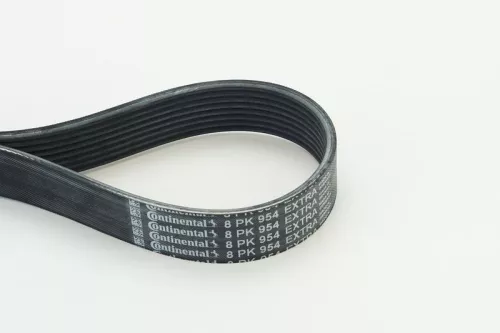 V-vormige riem CONTINENTAL CTAM 8PK954 EXTRA)