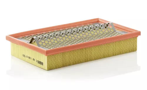 Air Filter MANN-FILTER C 29 126/2)