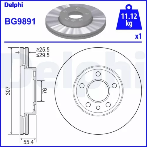 Remschijf DELPHI BG9891)