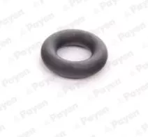 Seal Ring, injector PAYEN LA5252)