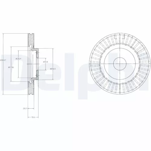 Remschijf DELPHI BG4214)