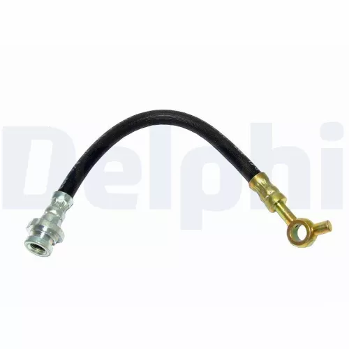 Remslang DELPHI LH6217)