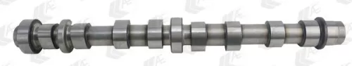 Nokkenas AE CAM944)