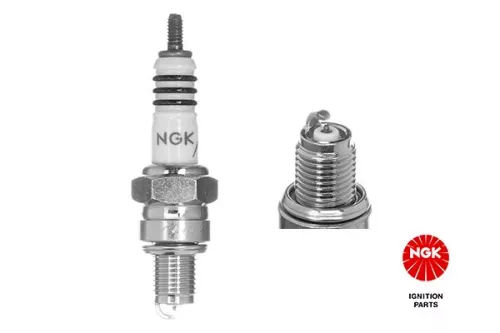 Spark Plug NGK 7669)
