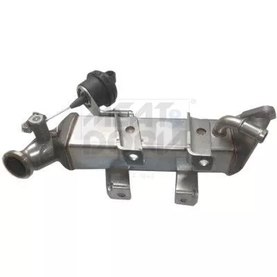 Cooler, exhaust gas recirculation MEAT & DORIA 88463)