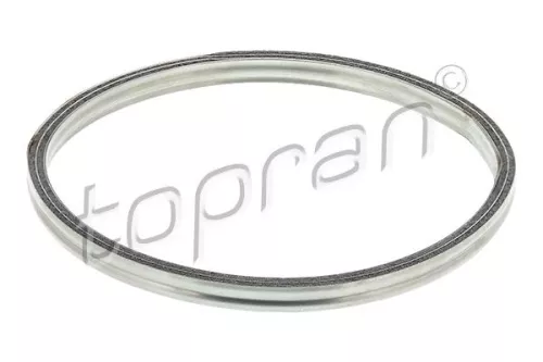Pakking, uitlaatpijp TOPRAN 302 247)