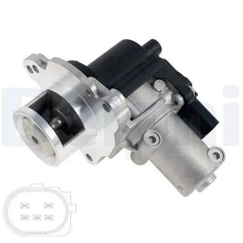EGR-klep DELPHI EG10622-12B1)