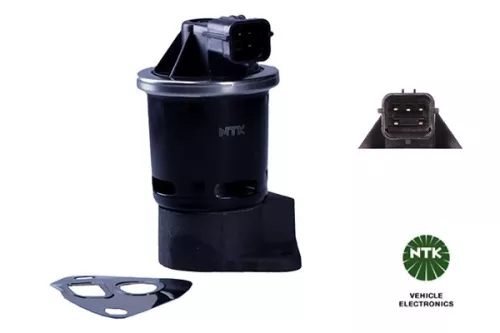 EGR-klep NTK 96007)